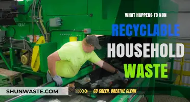 The Fate of Non-Recyclable Household Waste: Landfills, Incineration, and Beyond