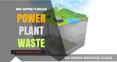 Nuclear Waste Disposal: Uncovering the Fate of Power Plant Byproducts