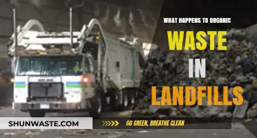 Organic Waste in Landfills: Environmental Impact and Decomposition Process