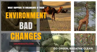 Environmental Shifts: How Organisms Adapt or Perish in Changing Conditions