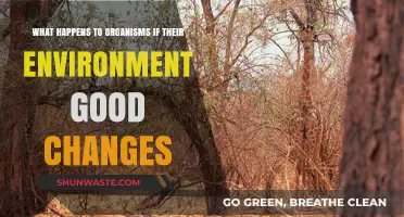 Environmental Shifts: How Organisms Adapt or Struggle in Changing Habitats