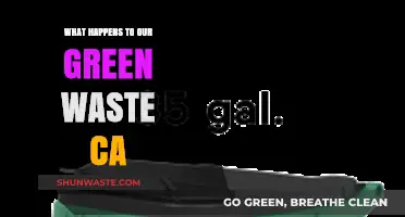 What Happens to Our Green Waste in California: A Breakdown