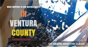 Ventura County's Recycling Journey: Where Does Our Waste Go?