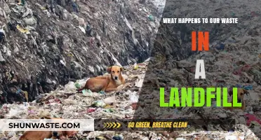 Landfill Waste Journey: Decomposition, Environmental Impact, and Recycling Challenges