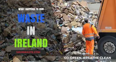 Ireland's Waste Journey: From Bin to Beyond – What Happens?