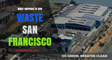 San Francisco's Waste Journey: Recycling, Landfills, and Sustainability Efforts