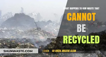 Unrecyclable Waste: Where It Goes and Its Environmental Impact