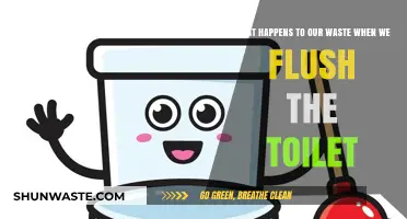 Flushed Away: The Surprising Journey of Toilet Waste Explained