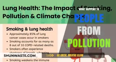 The Toxic Impact: Pollution's Effect on Human Health