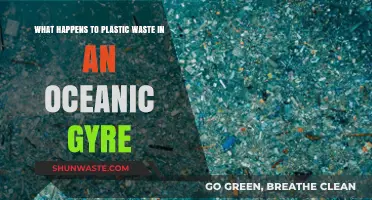 Oceanic Gyres: The Plastic Waste Graveyard and Its Global Impact
