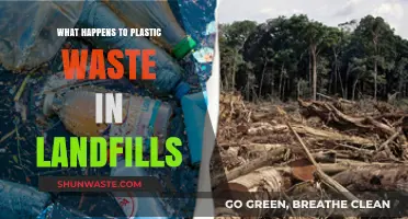Plastic's Landfill Fate: Environmental Impact and Long-Term Consequences Explained