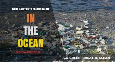 Ocean's Plastic Crisis: Unveiling the Fate of Marine Waste