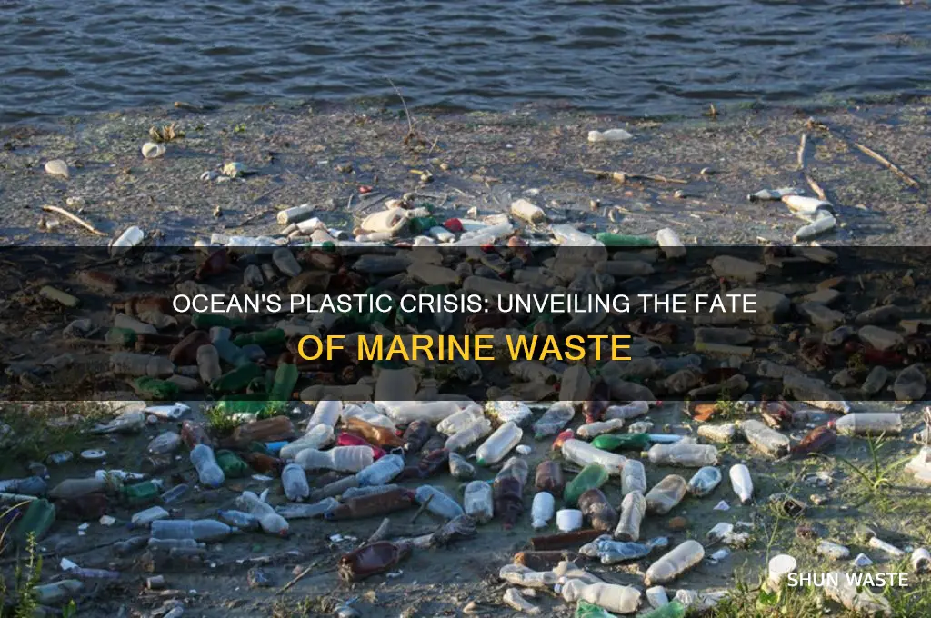 what happens to plastic waste in the ocean