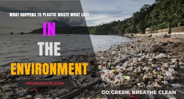 Plastic's Environmental Fate: Long-Term Impacts of Unmanaged Waste