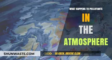 Atmospheric Pollutants: Their Fate and Impact