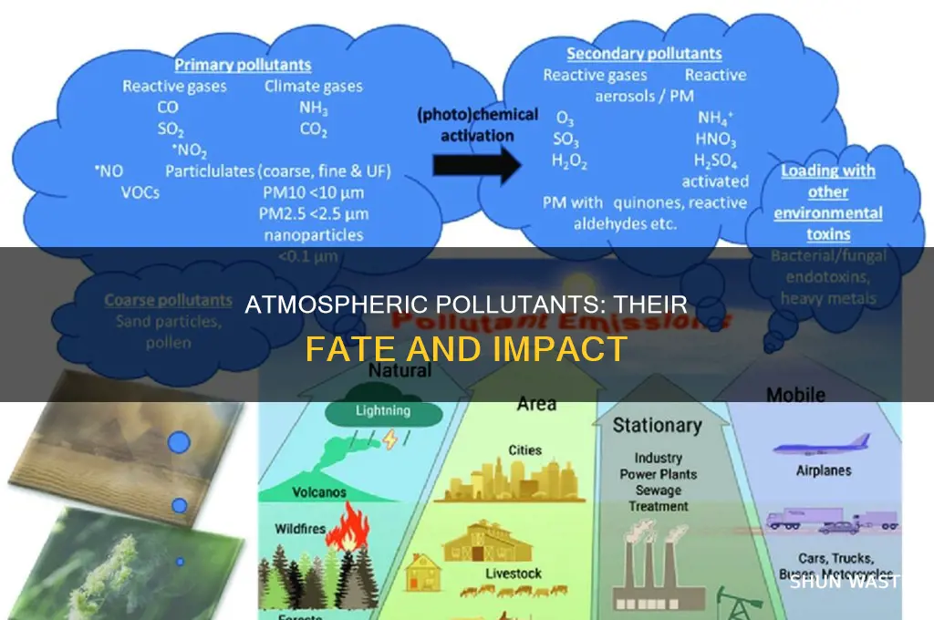 what happens to pollutants in the atmosphere