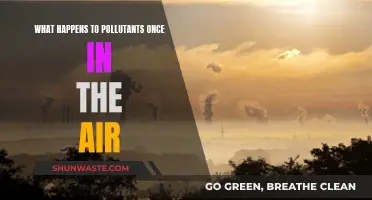 Airborne Pollutants: Their Fate and Impact