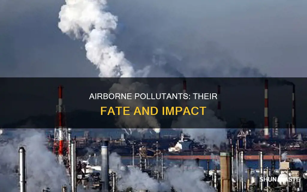 what happens to pollutants once in the air