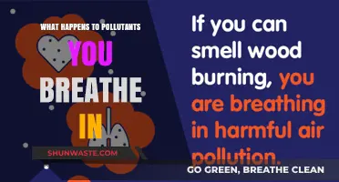 Air Pollution: The Harmful Effects of Inhaled Toxins