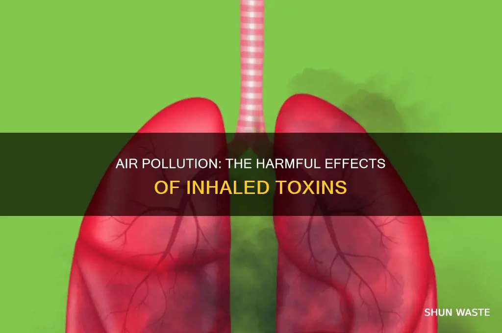 what happens to pollutants you breathe in