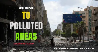 Polluted Areas: A Tale of Environmental Degradation and Recovery