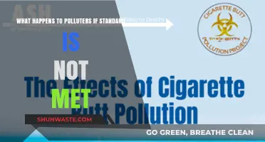 Polluters: Pay the Price for Non-Compliance