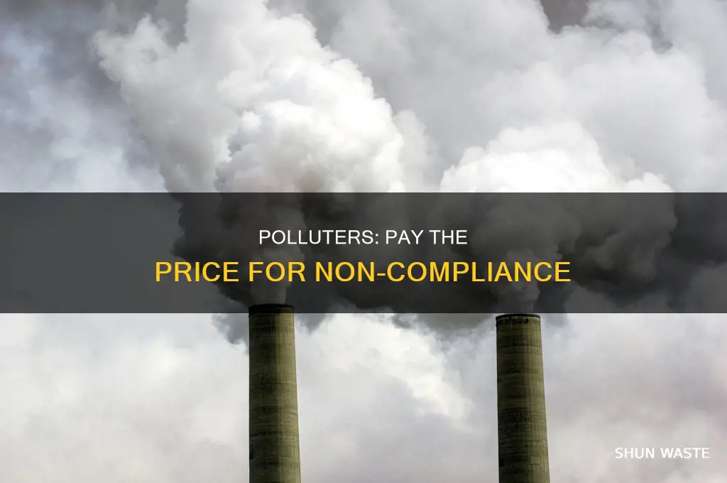 what happens to polluters if standard is not met