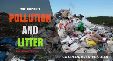 The Impact of Pollution and Litter: A World in Peril