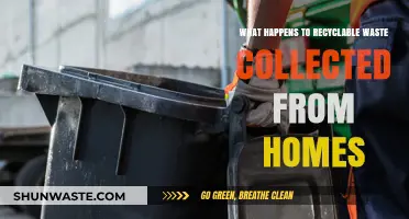 Recyclable Waste Journey: From Home Collection to Sustainable Processing