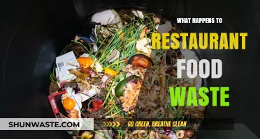 From Plate to Planet: The Journey of Restaurant Food Waste