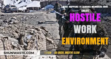 Consequences for Service Members Creating Hostile Work Environments: A Deep Dive