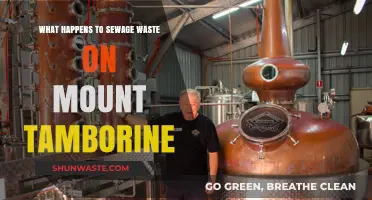 Mount Tamborine's Sewage Waste: Treatment, Impact, and Environmental Management