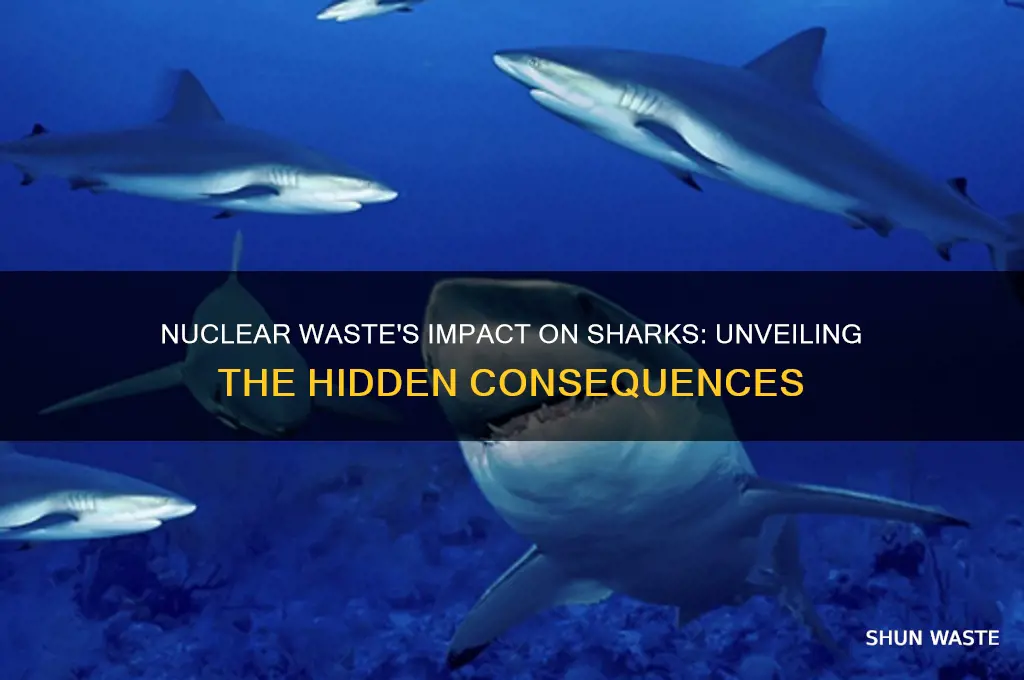 what happens to sharks when they are in nuclear waste