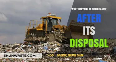 The Journey of Solid Waste: From Disposal to Management