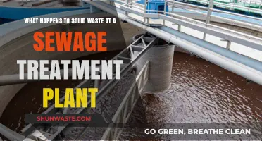 Solid Waste's Journey: Inside Sewage Treatment Plant Processing and Disposal