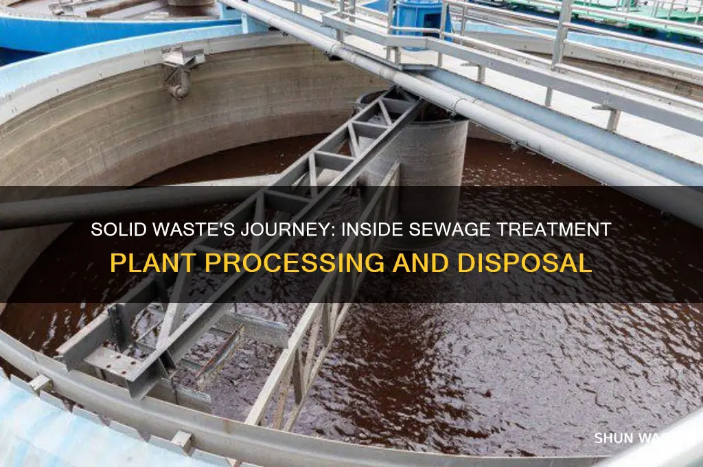 what happens to solid waste at a sewage treatment plant