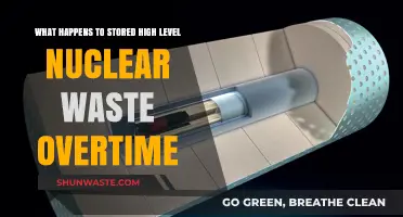 The Long-Term Fate of Stored High-Level Nuclear Waste Explained