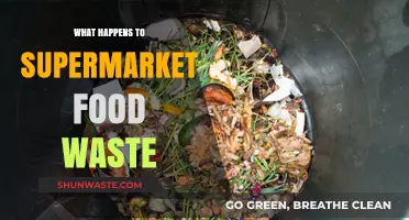 Behind the Scenes: The Surprising Journey of Supermarket Food Waste