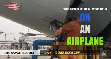 Where Does It Go? The Surprising Journey of Airplane Bathroom Waste