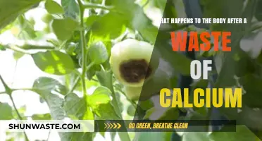 Calcium Deficiency: Unraveling the Body's Response to Mineral Depletion