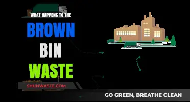Brown Bin Waste: Journey from Collection to Composting Explained