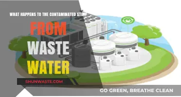 Contaminated Wastewater Byproducts: Treatment, Disposal, and Environmental Impact Explained