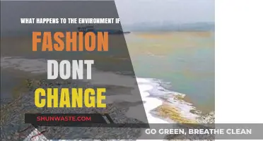 Fashion's Environmental Crisis: Consequences of an Unchanged Industry
