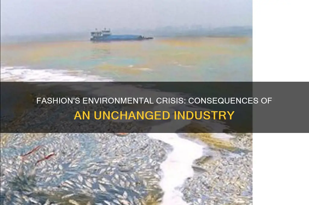 what happens to the environment if fashion dont change