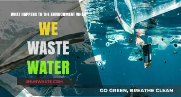 Wasted Water's Impact: Environmental Consequences of Our Careless Consumption