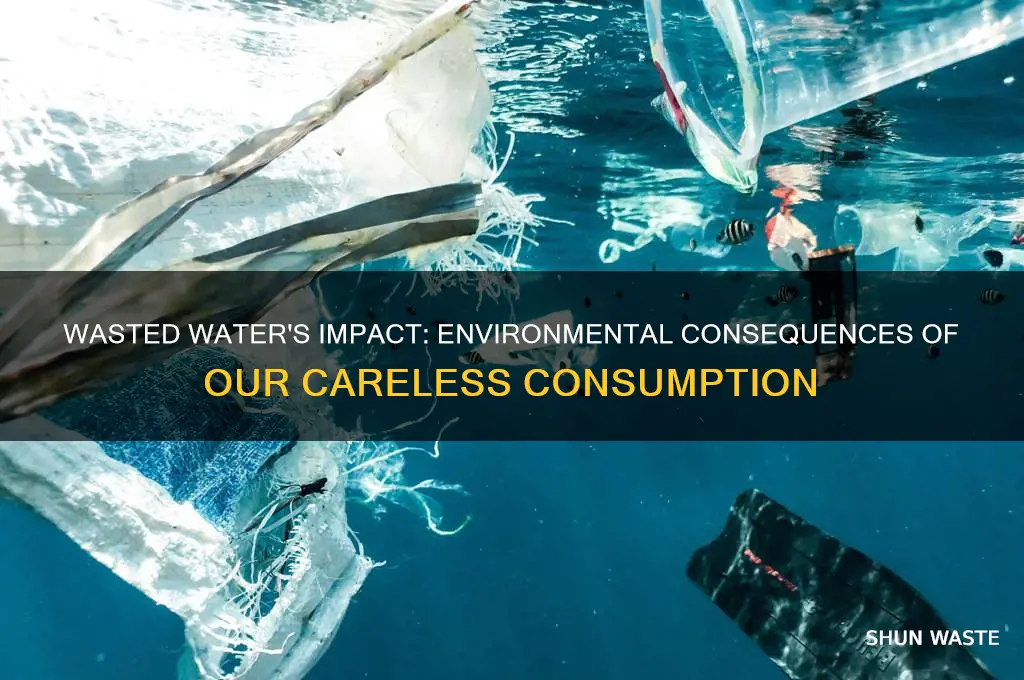what happens to the environment when we waste water