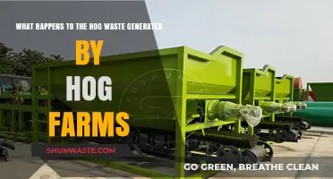 Hog Farm Waste Management: Environmental Impacts and Sustainable Solutions