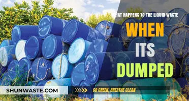 Liquid Waste Disposal: Environmental Impact and Consequences of Dumping
