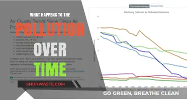The Evolution of Pollution: A Historical Perspective