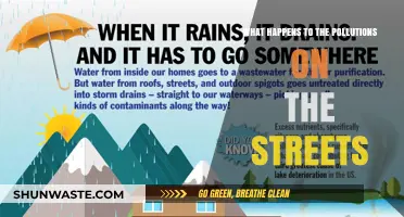 How Street Pollution Affects Our Environment